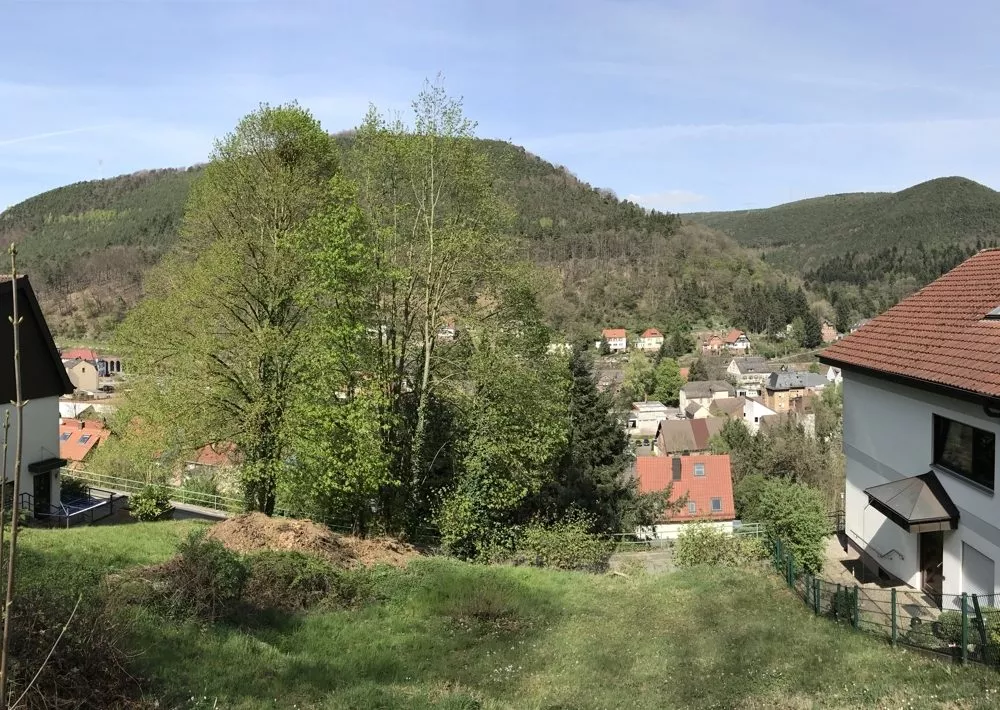 Immobilienangebot - Lambrecht (Pfalz) - Alle - Um diesen traumhaften Ausblick werden Sie Ihre Freunde garantiert beneiden.