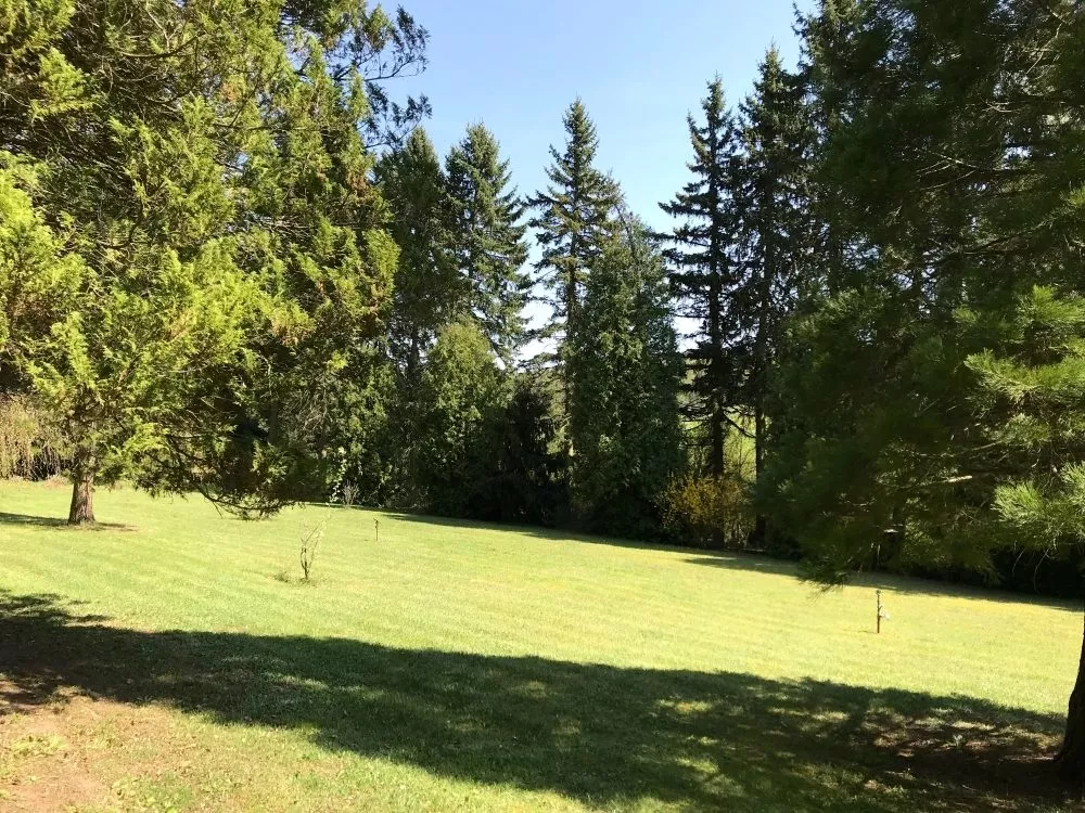 Immobilienangebot - Enkenbach-Alsenborn - Alle - Herrschaftliche Villa inmitten von Feldern und Wald gelegen