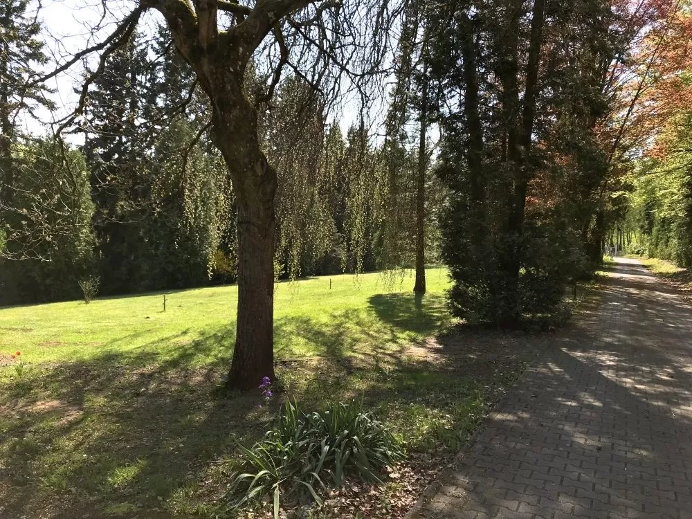 Immobilienangebot - Enkenbach-Alsenborn - Alle - Herrschaftliche Villa inmitten von Feldern und Wald gelegen