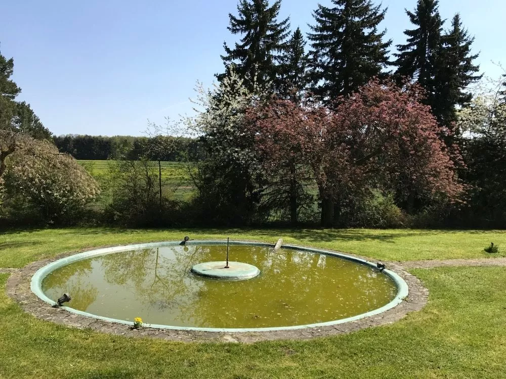 Immobilienangebot - Enkenbach-Alsenborn - Alle - Herrschaftliche Villa inmitten von Feldern und Wald gelegen