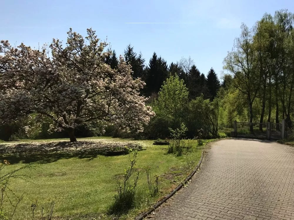 Immobilienangebot - Enkenbach-Alsenborn - Alle - Herrschaftliche Villa inmitten von Feldern und Wald gelegen