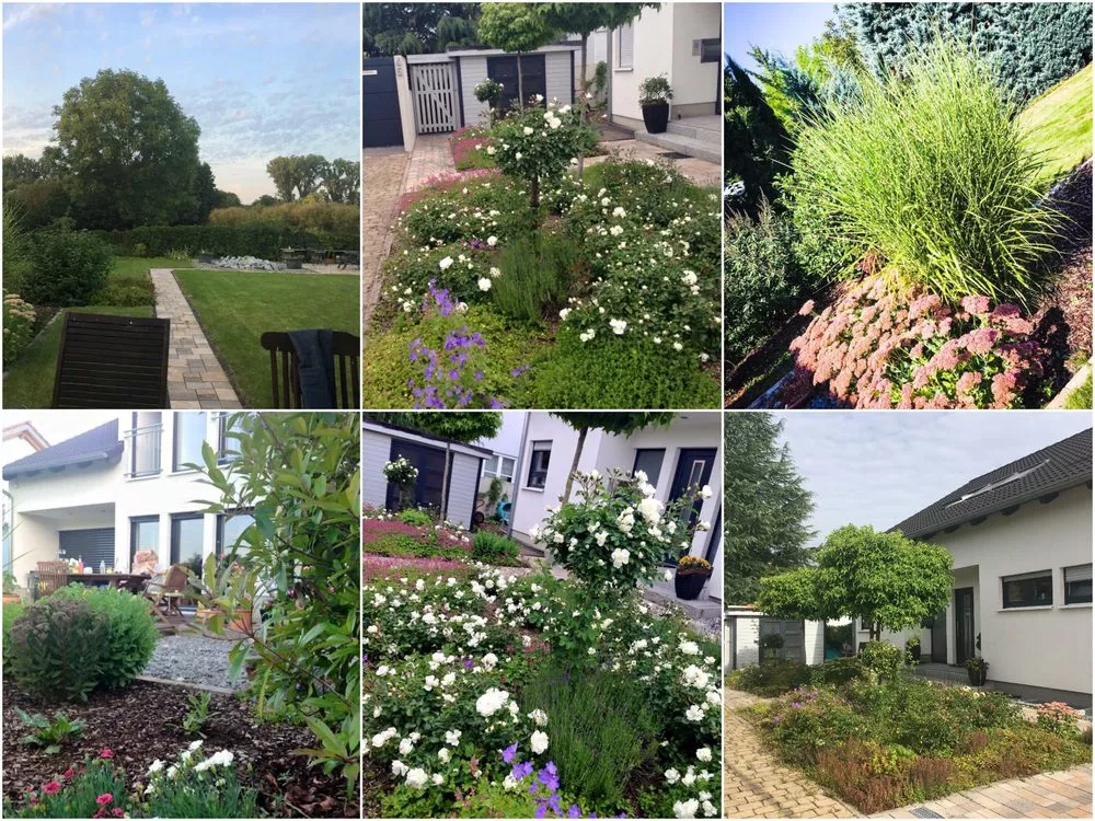 Immobilienangebot - Neustadt an der Weinstraße / Lachen - Alle - Neuwertiges Einfamilienhaus mit großzügigem Grundstück und Blick ins Grüne.