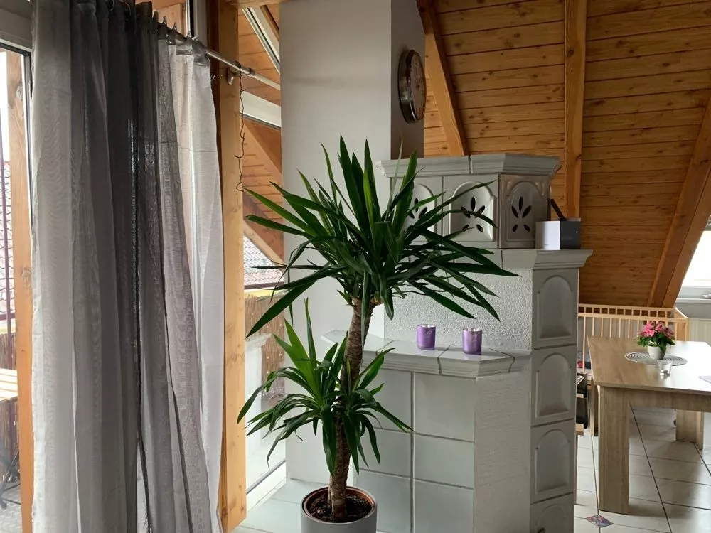 Immobilienangebot - Kaiserslautern / Grübentälchen - Alle - Komplett vermietetes 9-Parteienhaus in zentraler Lage mit toller Rendite