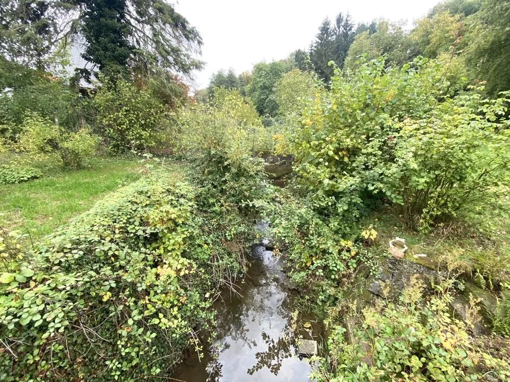 Immobilienangebot - Niederkirchen - Alle - Baubiologisch saniert - Ehemaliges Bauernhaus mit Scheune, großem Garten sowie viel Ausbaupotential