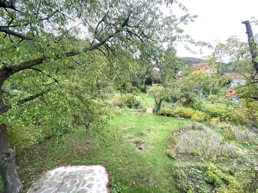 Immobilienangebot - Niederkirchen - Alle - Baubiologisch saniert - Ehemaliges Bauernhaus mit Scheune, großem Garten sowie viel Ausbaupotential