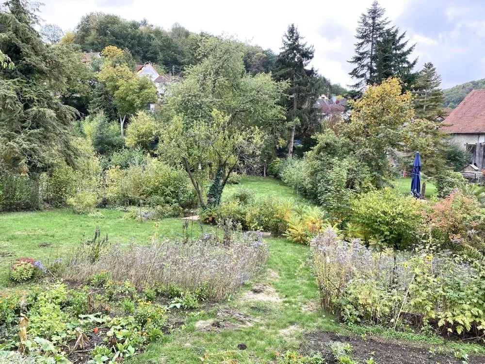 Immobilienangebot - Niederkirchen - Alle - Baubiologisch saniert - Ehemaliges Bauernhaus mit Scheune, großem Garten sowie viel Ausbaupotential