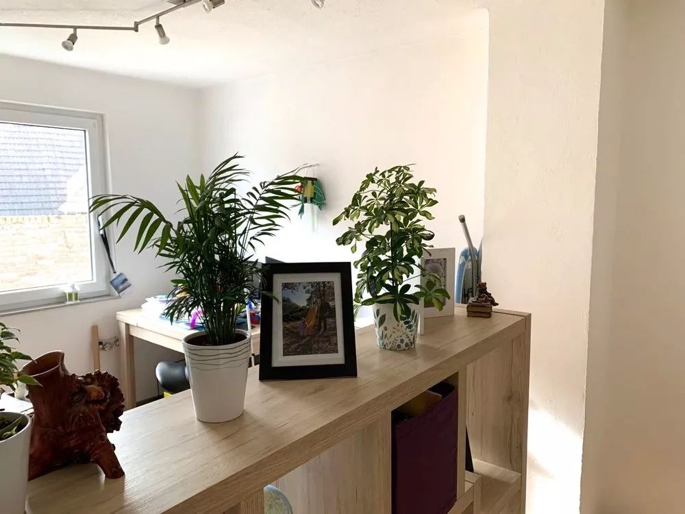 Immobilienangebot - Alsheim - Alle - VERKAUFT - Saniertes, ehemaliges Bauernhaus mit Scheune und Ausbaureserve