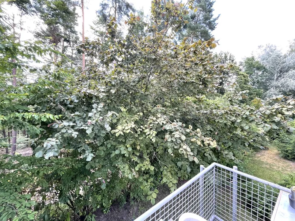 Immobilienangebot - Kaiserslautern - Alle - Toll geschnitte Split-Level-Wohnung im Unigebiet