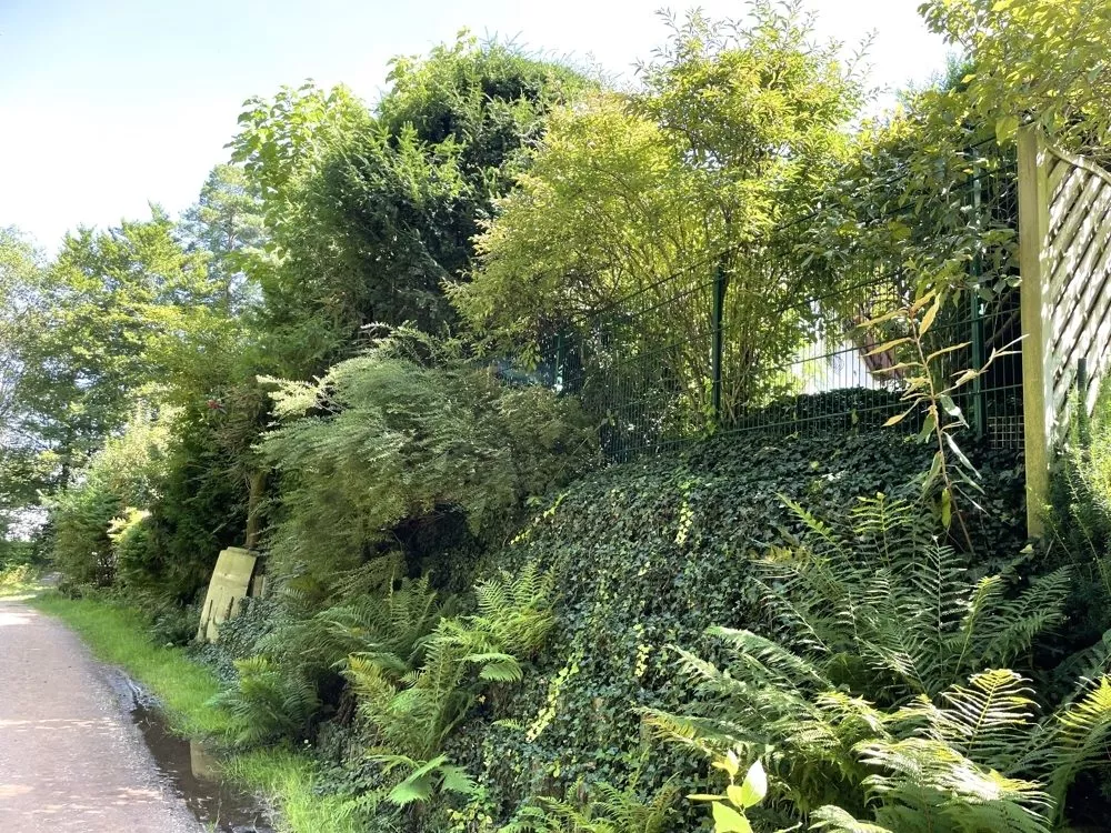 Immobilienangebot - Kaiserslautern - Alle - Villa im alpendländlichen Chaletstil mit uneinsehbarem Eigentumsgrundstück