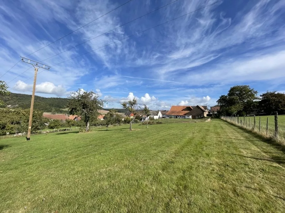 Immobilienangebot - Homberg - Alle - 360°-Rundgang, unser Service für Sie - Pferdehof mit Landwirtschaftsfläche soweit das Auge reicht