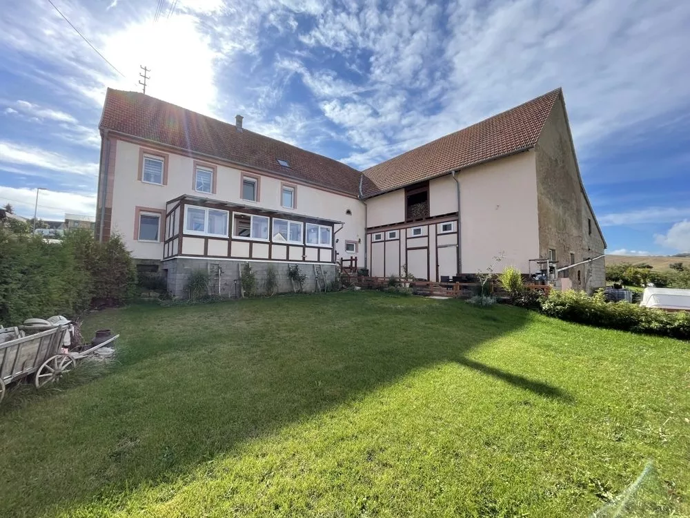 Immobilienangebot - Homberg - Alle - 360°-Rundgang, unser Service für Sie - Pferdehof mit Landwirtschaftsfläche soweit das Auge reicht