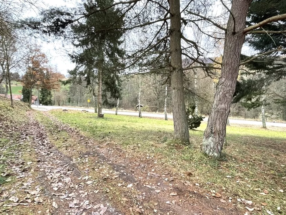 Immobilienangebot - Eßweiler - Alle - 360°-Rundgang, unser Service für Sie - Bungalow mit 2 Hektar Land