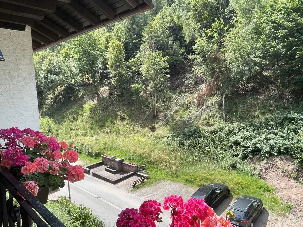 Immobilienangebot - Frankenstein - Alle - Topgepflegtes Einfamilienhaus mit Einliegerwohnung und traumhafter Aussicht… und das zu diesem Preis