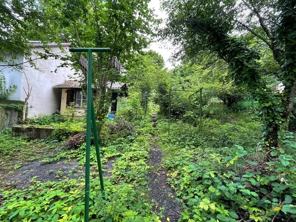 Immobilienangebot - Winnweiler - Alle - 360° Tour, unser Service für Sie - sanierungsbedürftiges Einfamilienhaus mit viel Potential