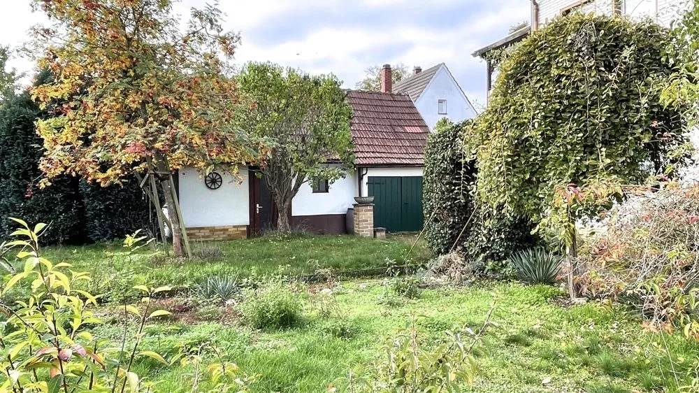 Immobilienangebot - Enkenbach-Alsenborn - Alle - 360°-Rundgang, unser Service für Sie - freistehendes Einfamilienhaus mit Garage und Garten
