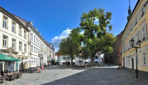 Blick über den Martinsplatz in Kaiserslautern