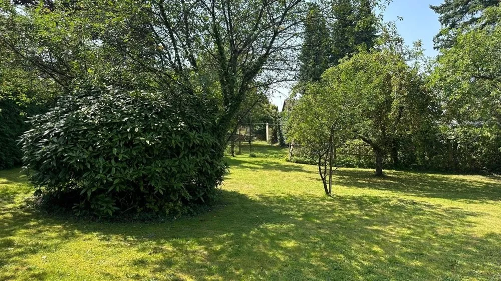 Immobilienangebot - Jettenbach - Alle - Platz im Überfluss - Zwei Häuser, vier Garagen, eine Scheune und ein großes Grundstück