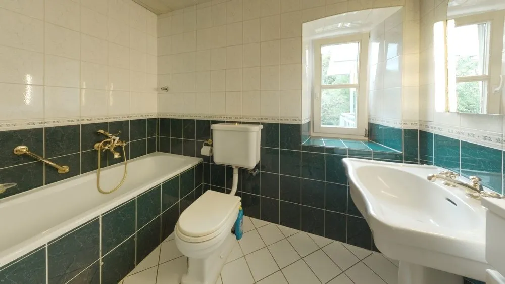 Immobilienangebot - Lauterecken - Alle - Jugendstilvilla mit historischer Mühle und 2 Nebengebäuden - Wasserturbine mit Wasserrecht inklusive