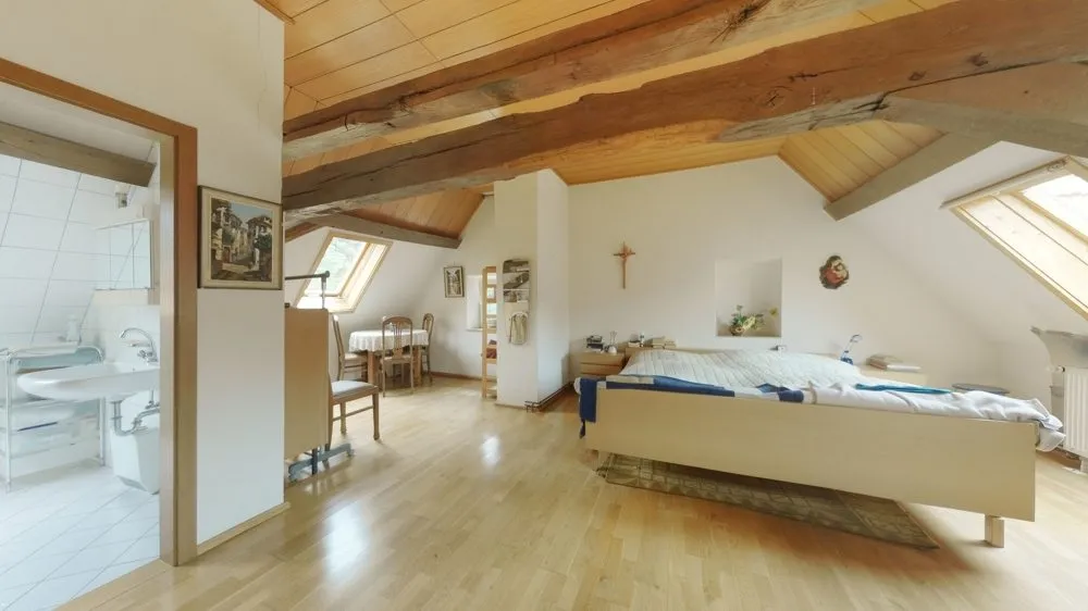 Immobilienangebot - Lauterecken - Alle - Jugendstilvilla mit historischer Mühle und 2 Nebengebäuden - Wasserturbine mit Wasserrecht inklusive