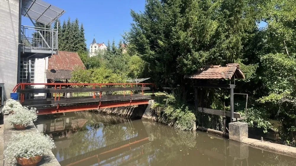 Immobilienangebot - Lauterecken - Alle - Jugendstilvilla mit historischer Mühle und 2 Nebengebäuden - Wasserturbine mit Wasserrecht inklusive