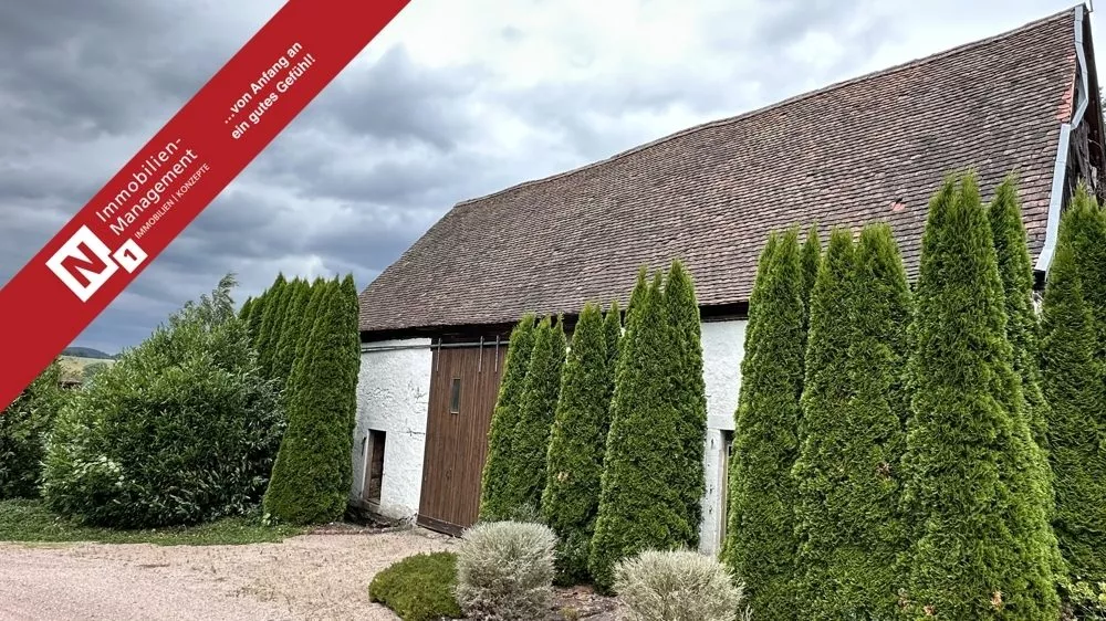 Titelbild Immobilienangebot - Alsenbrück-Langmeil - Alle - Ein Ort voller Möglichkeiten – freistehende Scheune mit historischem Charme!
