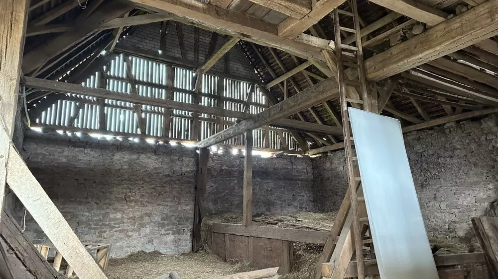 Bild 1 innen Immobilienangebot - Alsenbrück-Langmeil - Alle - Ein Ort voller Möglichkeiten – freistehende Scheune mit historischem Charme!