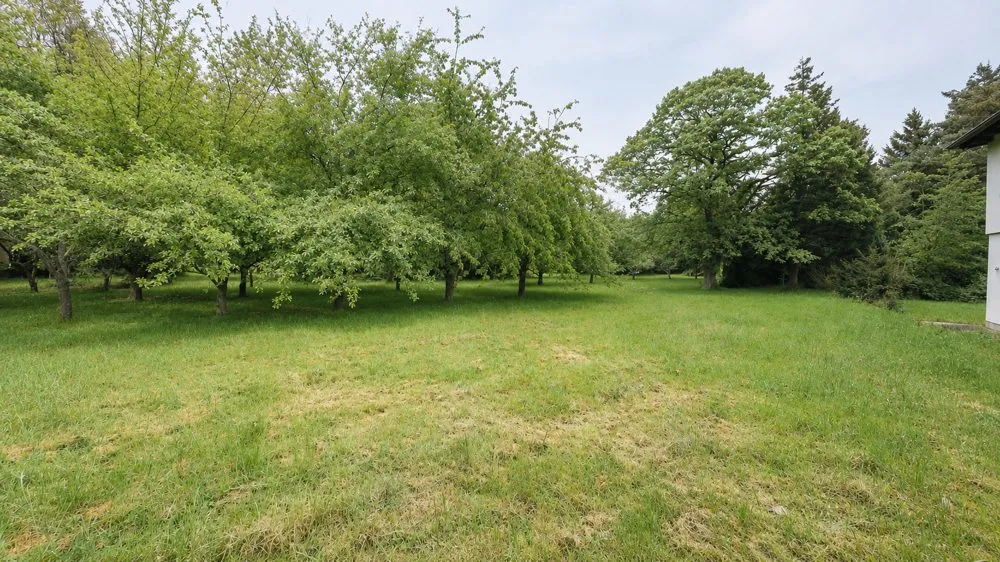 Immobilienangebot - Rothselberg - Alle - Renovierungsbedürftiges Einfamilienhaus auf einem über 5000 m² großen Grundstück