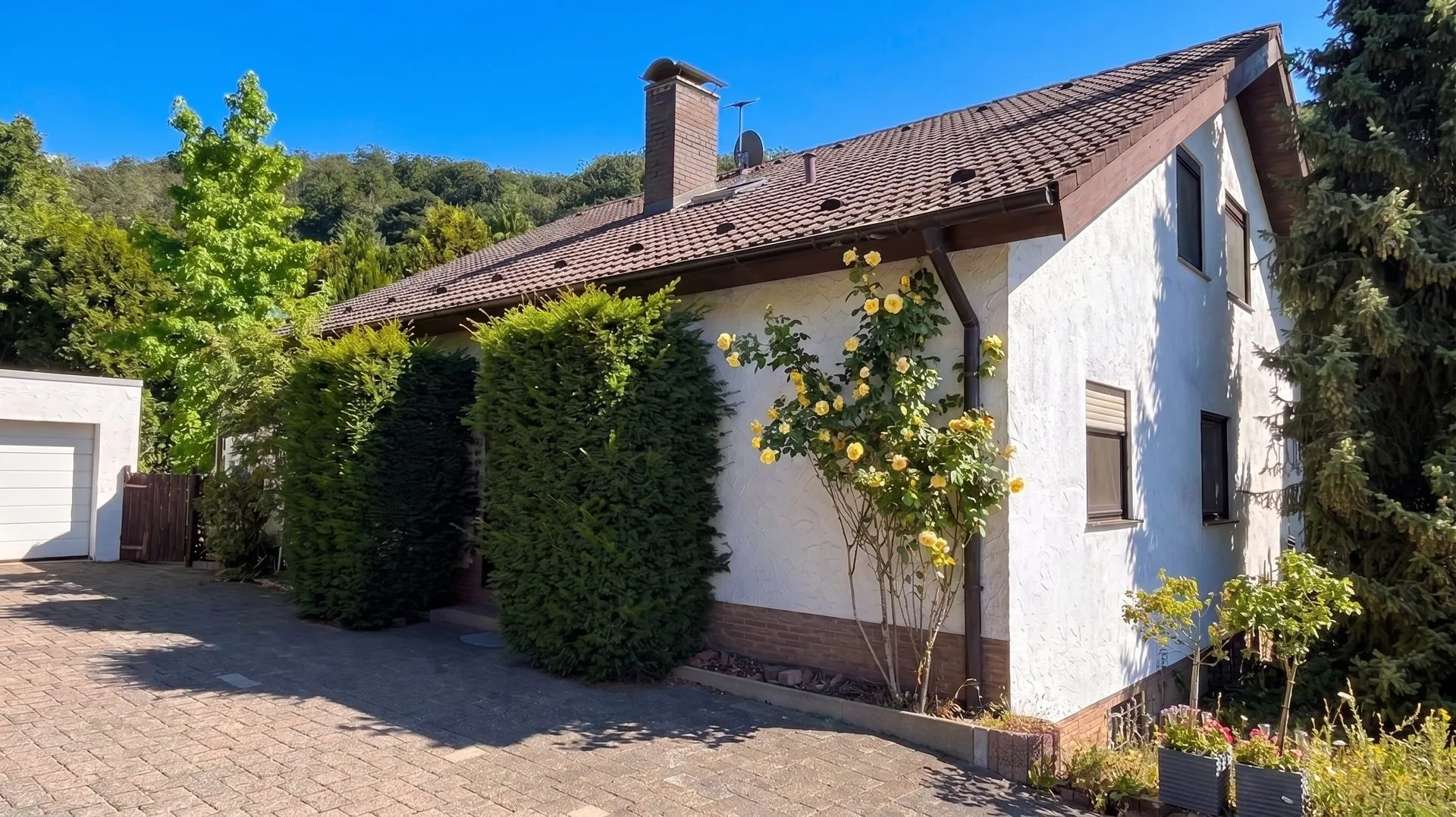 Immobilienangebot - Wartenberg-Rohrbach - Alle - Split-Level-Architektenhaus mit Einliegerwohnung und uneinsehbarem Garten