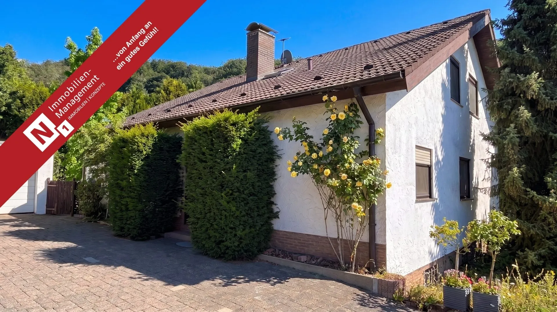 Immobilienangebot - Wartenberg-Rohrbach - Alle - Split-Level-Architektenhaus mit Einliegerwohnung und uneinsehbarem Garten